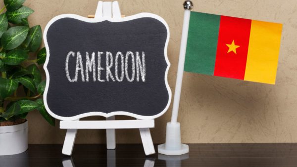Vendre ou s'implanter au Cameroun