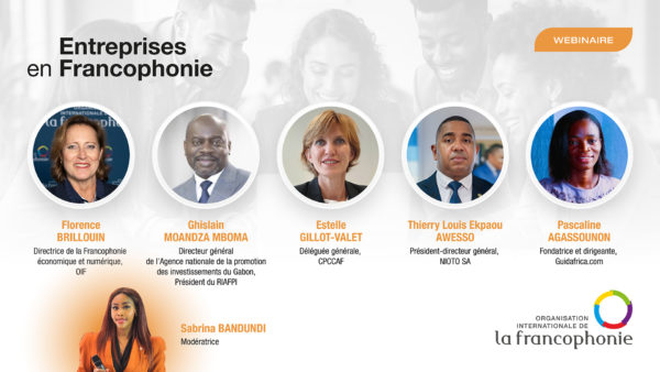 Webinaire de lancement de la plateforme « Entreprises en Francophonie » !