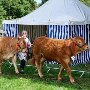 Sommet de l’Élevage 2026