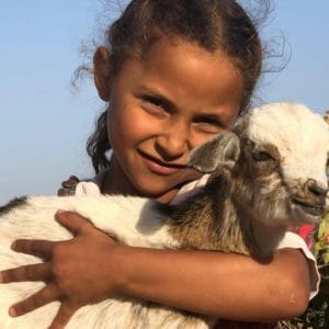 SIAM 2026 – Le Salon International de l’Agriculture au Maroc : Durabilité, Innovation et Souveraineté Alimentaire