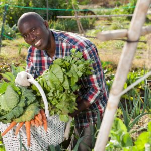 5ème Sommet Africain de l’Agriculture & de l’Agroalimentaire