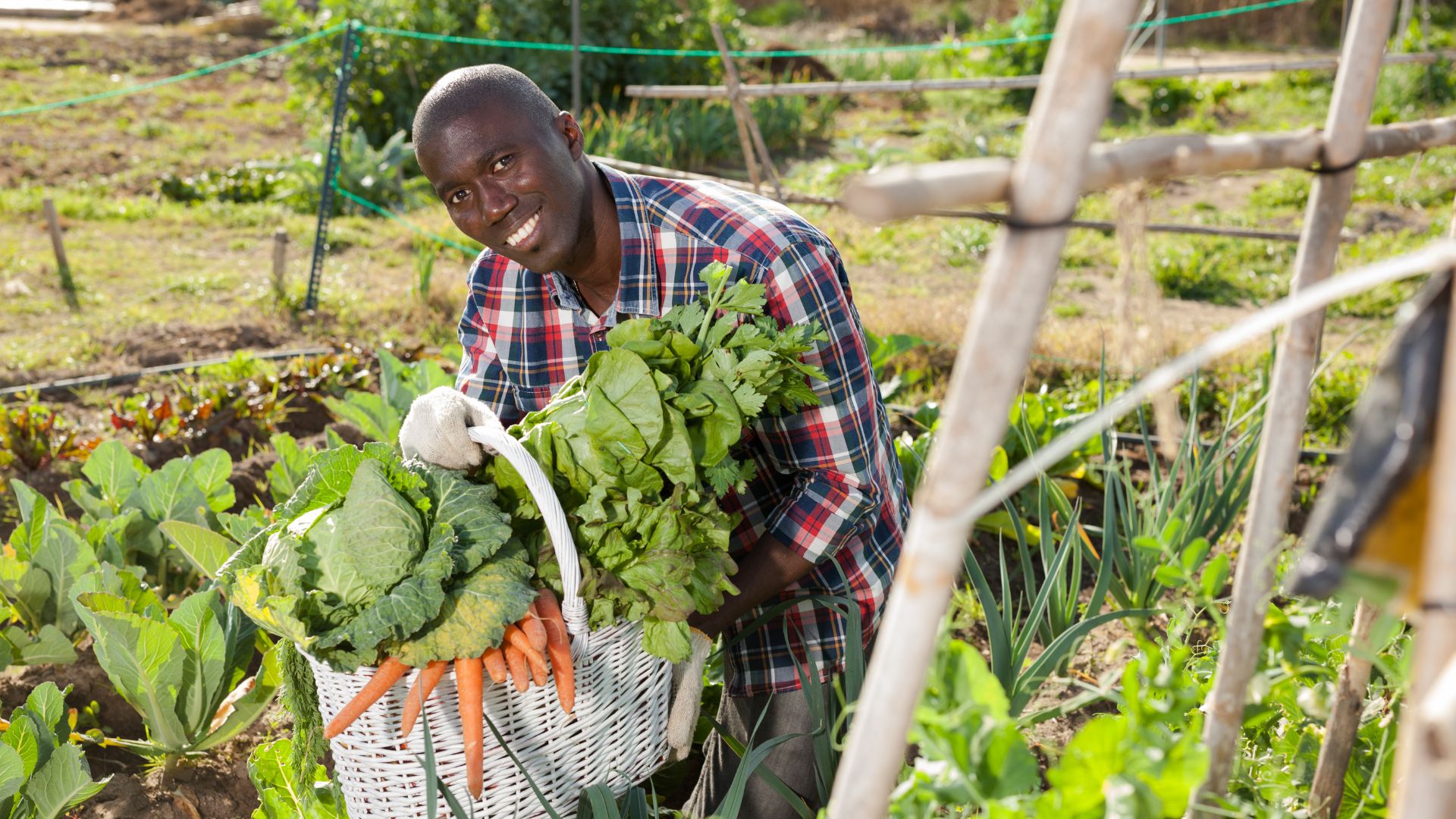 5ème Sommet Africain de l’Agriculture & de l’Agroalimentaire